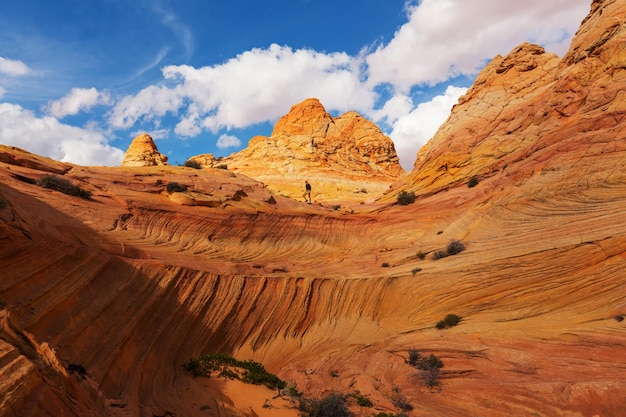 Coyote Buttes del área silvestre Vermillion Cliffs, Utah y Arizona