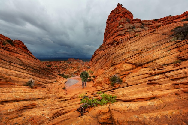 Coyote Buttes da Vermillion Cliffs Wilderness Area, Utah e Arizona