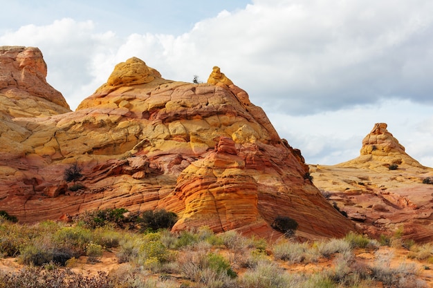 Coyote Buttes der Vermillion Cliffs Wilderness Area, Utah und Arizona