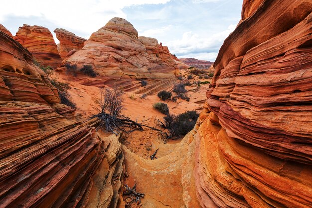 Coyote Buttes der Vermillion Cliffs Wilderness Area, Utah und Arizona