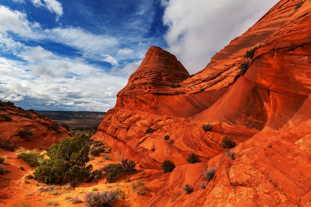 Coyote Buttes der Vermillion Cliffs Wilderness Area, Utah und Arizona