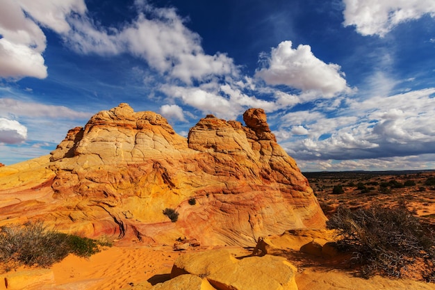 Coyote Buttes der Vermillion Cliffs Wilderness Area, Utah und Arizona