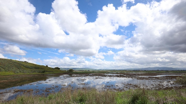 Coyote Hills, Fremont, Califórnia