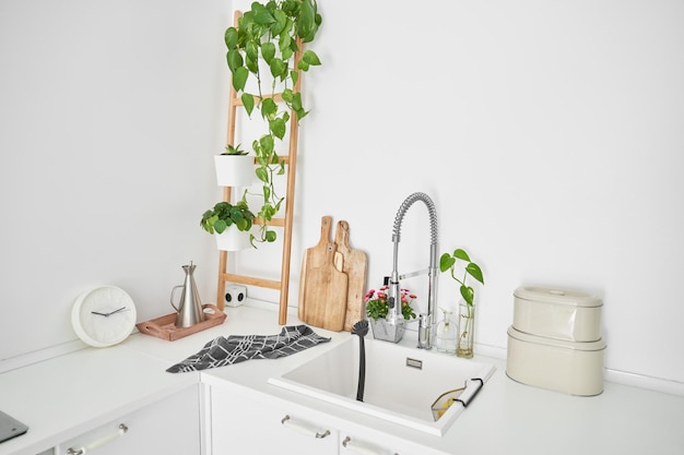 Cozinha com paredes brancas e relógio perto de tábuas de corte colocadas em balcão decorado com vasos de plantas contra pia com torneira