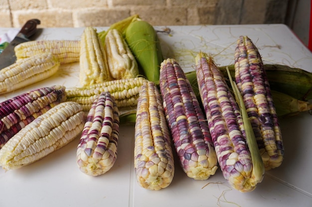 Cozinha tradicional mexicana