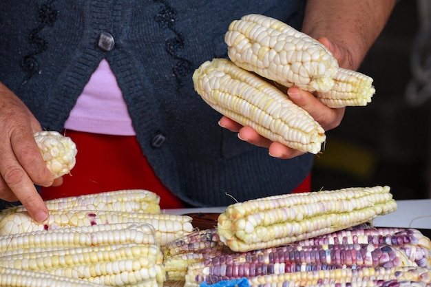 Foto cozinha tradicional mexicana