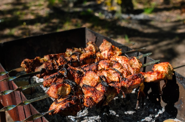 Cozinhar churrasco na natureza