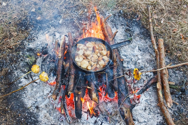 Cozinhar cogumelos brancos em uma panela no fogo na floresta de primavera