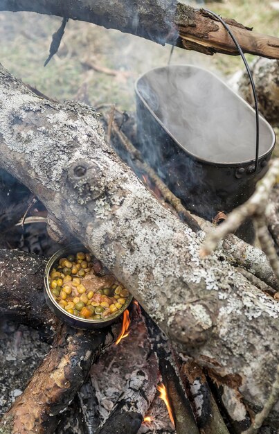 Cozinhar comida na fogueira