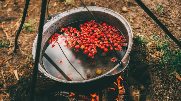 Cozinhar compota de frutas no fogo