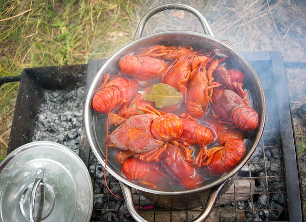 Cozinhar lagostins de água doce em uma panela