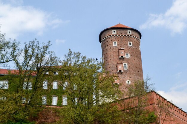 Foto cracovia, polonia 3 de mayo de 2021 el castillo de wawel