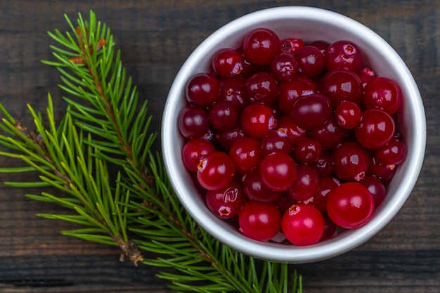 Cranberries frescos maduros em uma tigela com ramo de pinheiro na mesa de madeira rústica