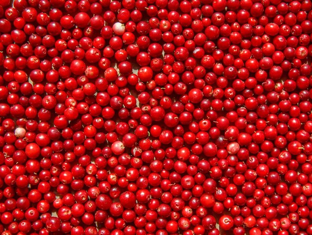 Cranberries maduros para fundo