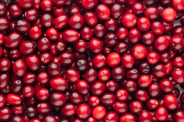 Cranberry-Bio-Hintergrund Lebensmittel-Hintergrund
