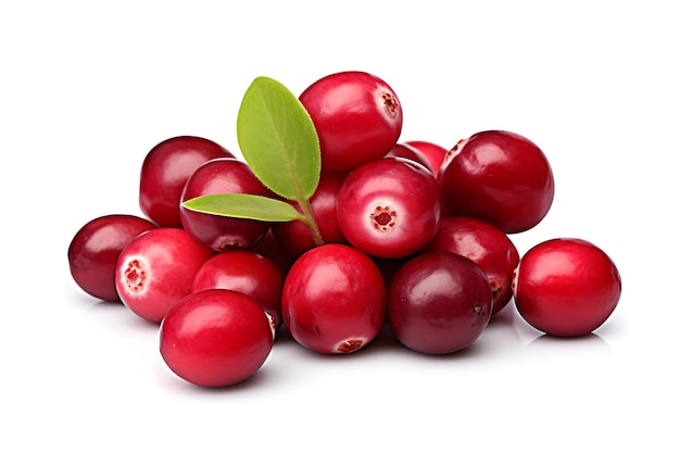 Cranberry isoliert auf weißem Hintergrund