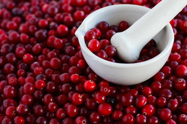 Cranberry Textur Nahaufnahme Herbst Beeren pflücken