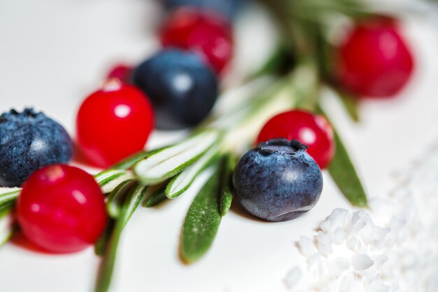 Cranberry und Blaubeere auf Weihnachtskuchen