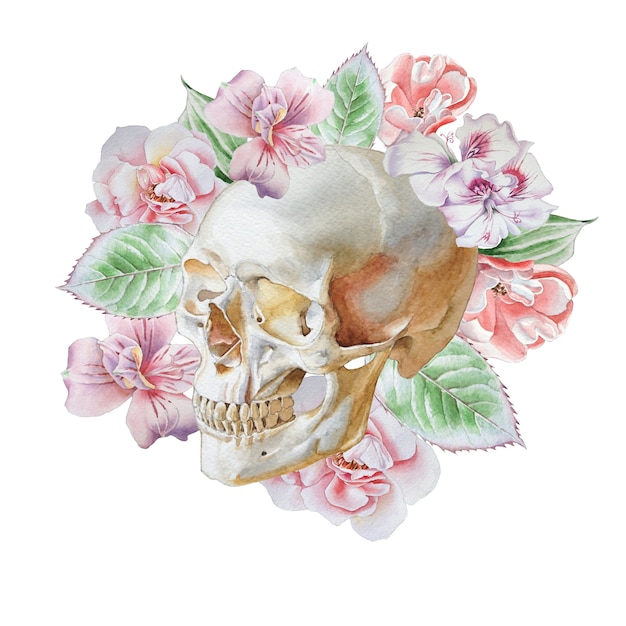 Cráneo y flores en blanco