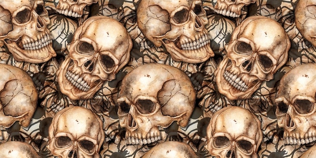 Cráneo humano y arañas patrón acuarela