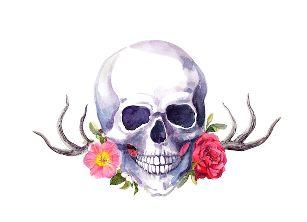 Foto cráneo humano con cuernos de ciervo y flores en estilo vintage. acuarela