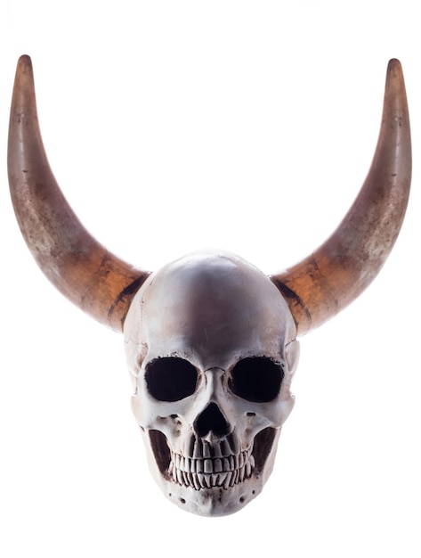 Cráneo humano con dos cuernos de carnero Cráneo y cuernos sobre un fondo blanco Marco vertical