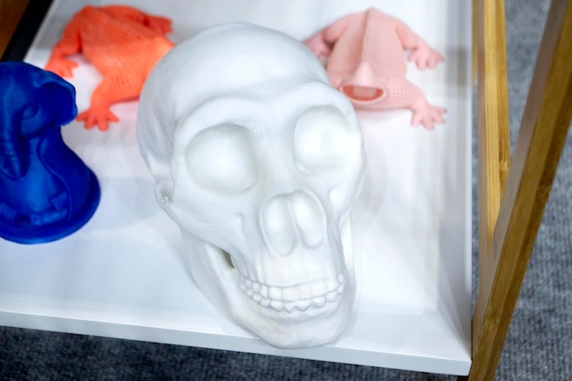 Cráneo humano impreso en impresora 3D a partir de tecnología de impresión 3D de cierre de plástico