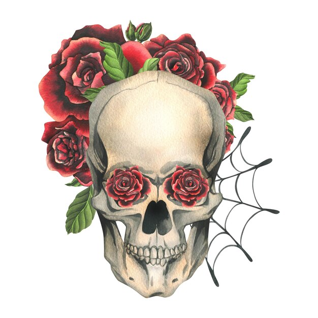 Cráneo humano con rosas rojas y telarañas Ilustración acuarela dibujada a mano para el día de los muertos halloween Día de los muertos Composición aislada sobre un fondo blanco