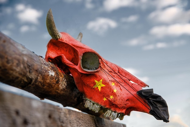 Crânio de vaca natural em uma cerca de madeira com a bandeira da china. Máscara médica protetora é colocada na frente