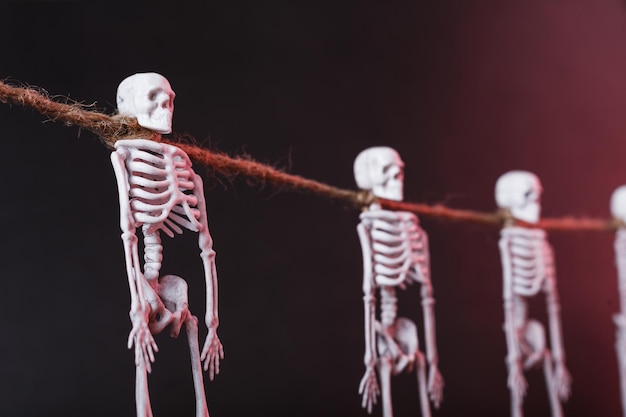 Crânios de esqueletos suspensos pelo pescoço em uma corda em um fundo escuro. Decoração de Halloween, close-up