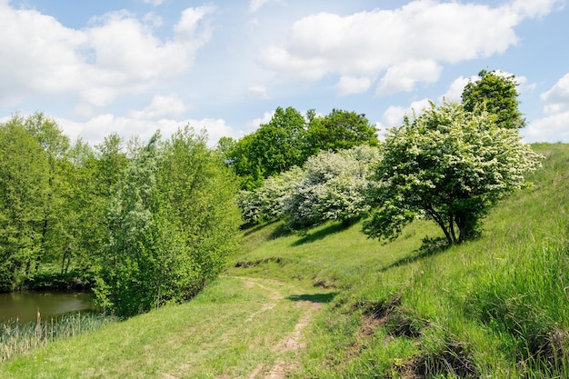 Crataegus monogyna conhecido como espinheiro comum espinheiro de semente única ou espinheiro de semente única é uma espécie de espinheiro nativa da Europa noroeste da África e oeste da Ásia Pode ser uma erva daninha invasora