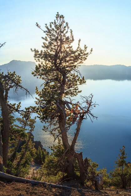 Crater Lake Nationalpark Oregon USA