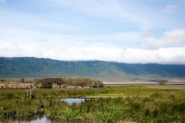 Cráter de Ngorongoro hermoso paisaje Tanzania África