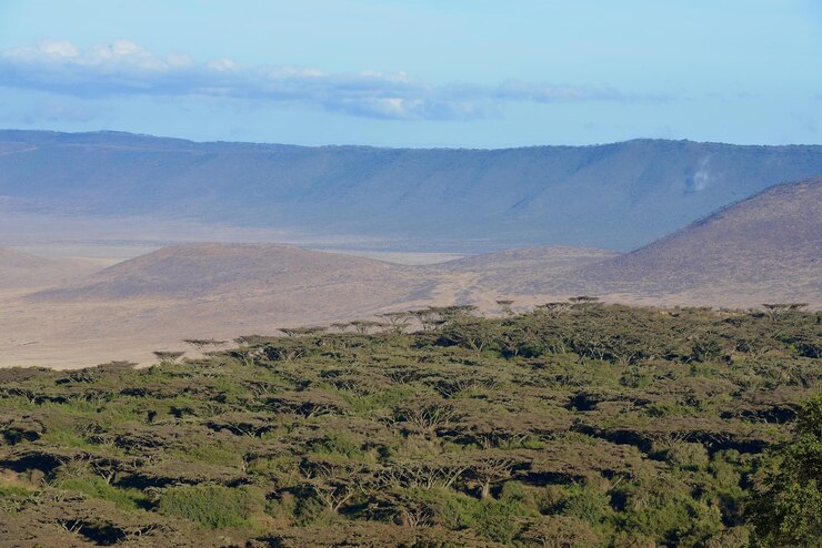 Foto cratera de ngorongoro, na tanzânia