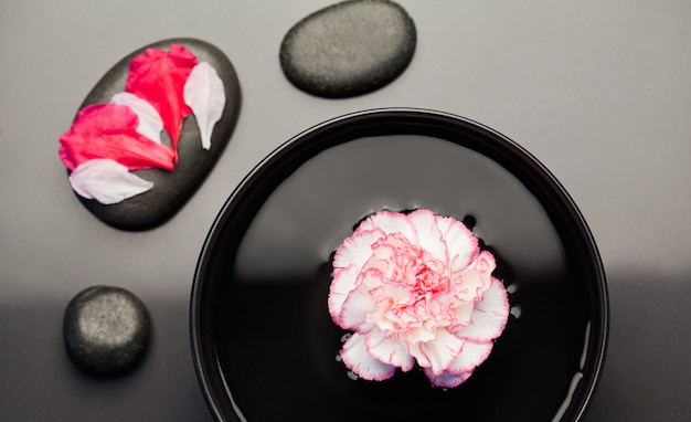 Cravo branco e rosa flutuando em uma tigela com pedras negras ao redor e pétalas em uma da pedra