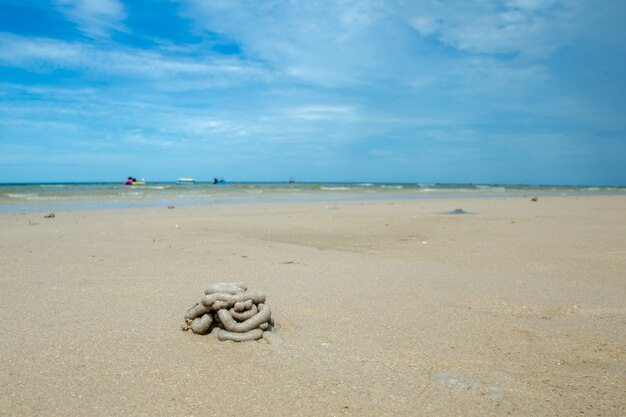 Foto creativo natural en la playa