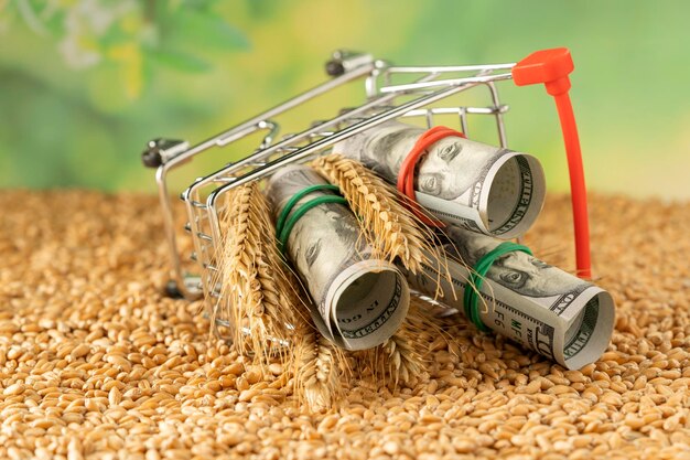 Foto creciendo en un carrito de compras con espiguillas de trigo maduras concepto de negocio y agricultura éxito financiero agricultura siembra de plantas concepto de paso de crecimiento en el jardín