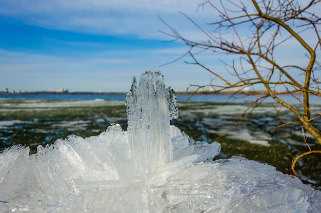 Crecimientos de hielo en invierno en el primer plano de la orilla del lago