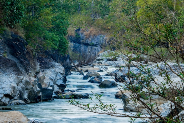 Creek fließt über die Felsen