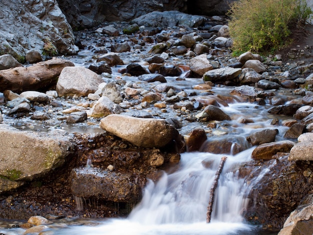 Creek en Zapata Falls, Colorado.