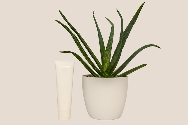 Crema con aloe en un tubo blanco Concepto de cuidado de la piel Salud belleza y cuidado de spa