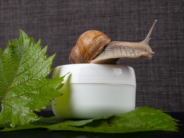 Crema de mucina de caracol, cosmética ecológica para el cuidado de la piel.