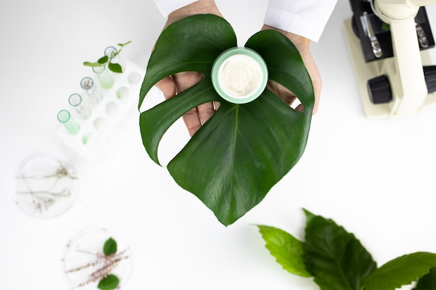 Foto creme na folha verde no fundo branco do laboratório com tubos de ensaio e microscópio