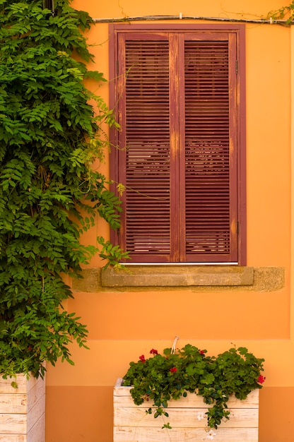 Cremefarbene Wand mit Fenster und Blumen