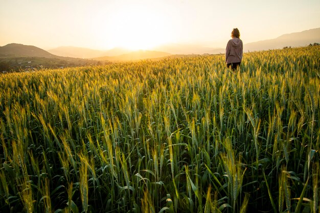 Crepúsculo em um campo de trigo