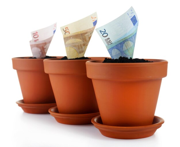 Crescer dinheiro em vasos de flores isolados em branco