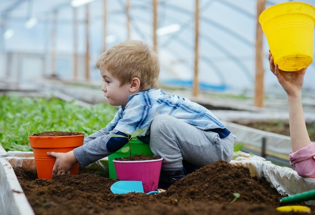 Crescer o conceito de negócios, garoto pequeno, cultivar plantas e fazer negócios agrícolas crescer negócios na indústria agrícola, crescer negócios juntos, jardinagem é mais do que hobby