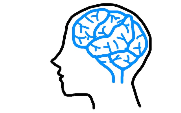 Crescimento criativo melhor função cerebral e a ideia de melhorar a memória crescimento criativo Conceitos de saúde e ideias de negócios