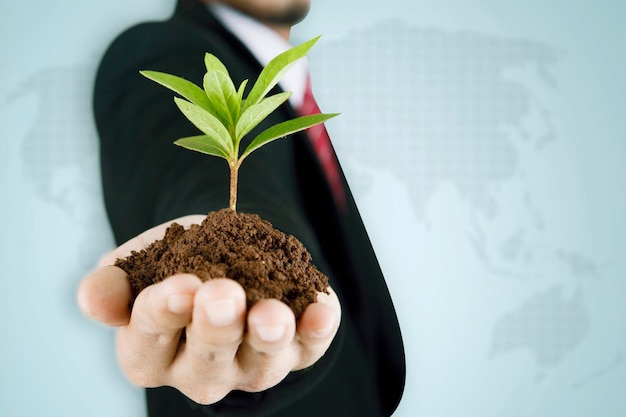 Crescimento do negócio Fechamento da mão do empresário segurando uma planta verde
