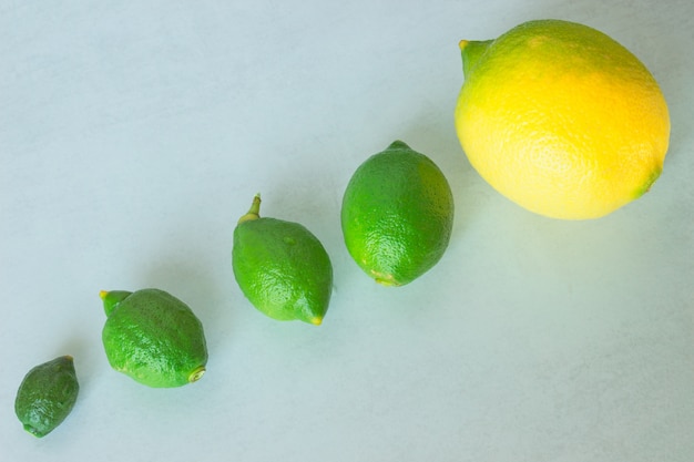 Foto crescimento natural de limão. conceito - evolução, desenvolvimento.